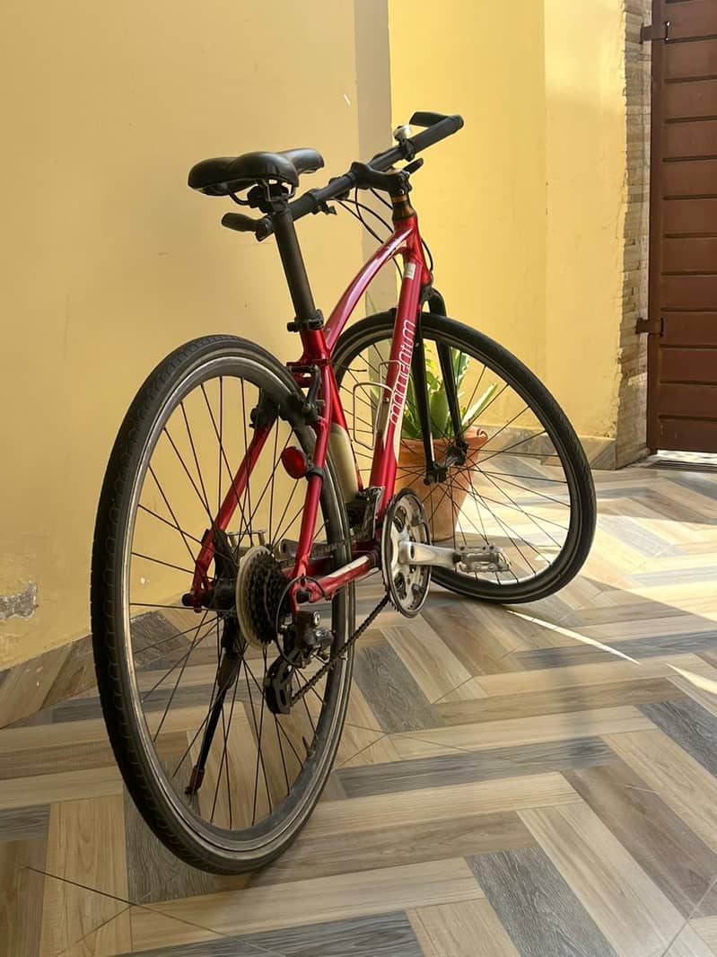 Momentum Hybrid Bicycle 4