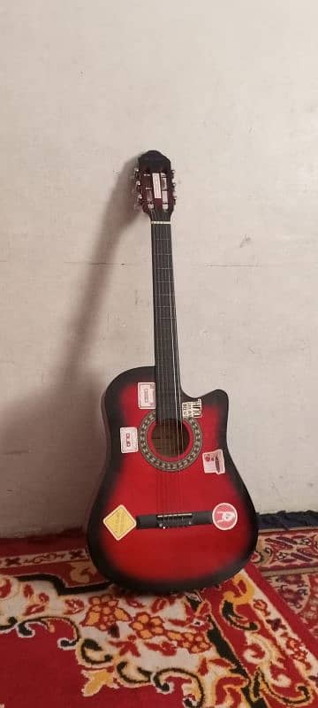 branded guitar 2