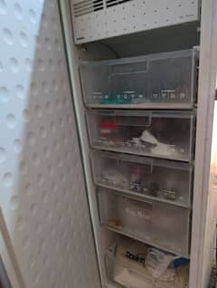 SIEMENS coy Freezer