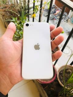 iPhone SE 2020 64 gb non