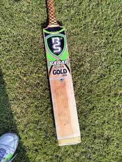 Hard ball Bat brand BS Sports