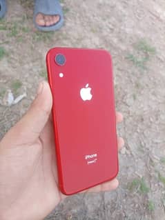 iPhone XR