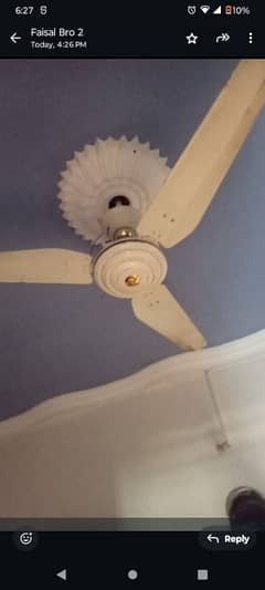 fan