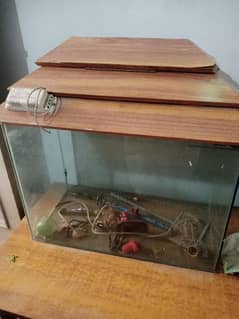 fish Aquarium