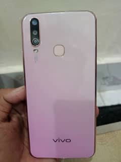 Vivo