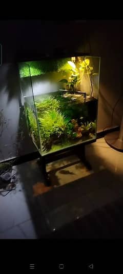 Aquarium For Sale