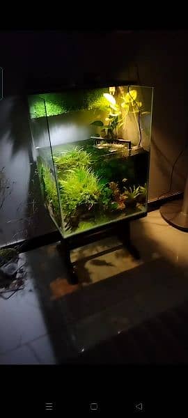 Aquarium For Sale 0