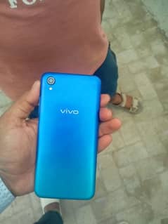 vivo