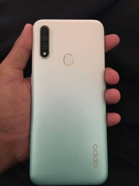 Oppo A31 1