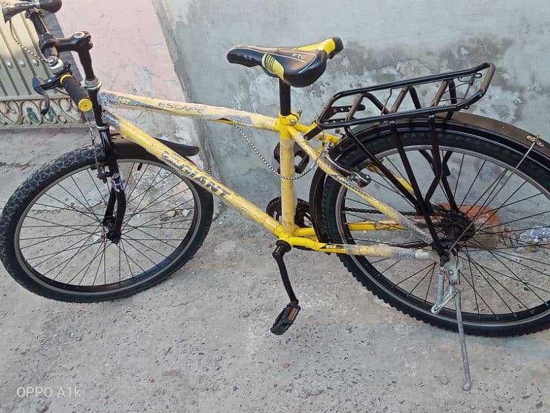 new cycle only 2 month used 2