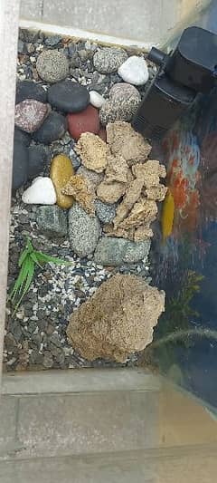 Aquarium for Sale / Aquarium 0