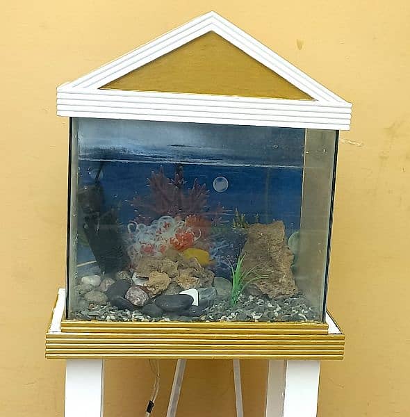 Aquarium for Sale / Aquarium 2