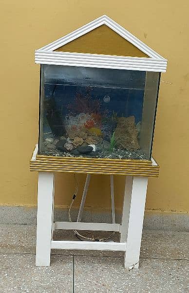 Aquarium for Sale / Aquarium 3