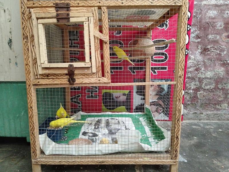 Wodan cocktail cage Love birds Cage 2x4 2