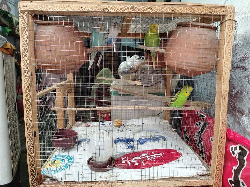 Wodan cocktail cage Love birds Cage 2x4 5