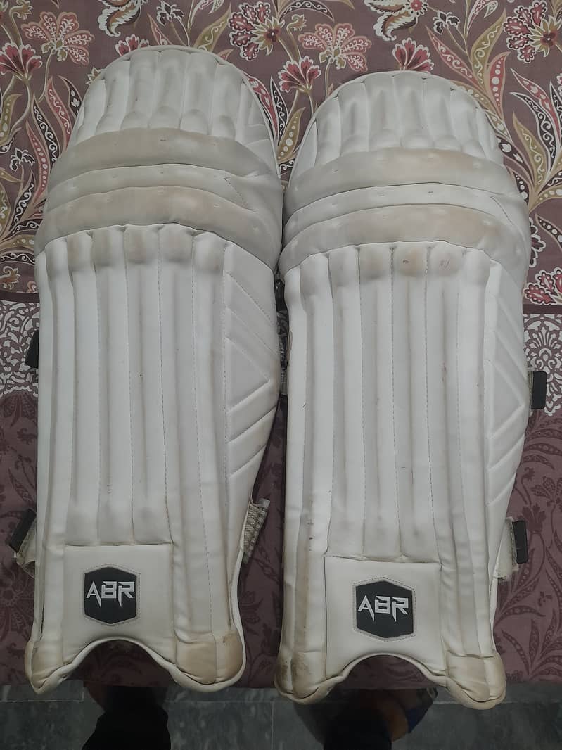 Cricket Batting Kit. Bat , Pad, Gloves, Bag , Halmet, Thai 6