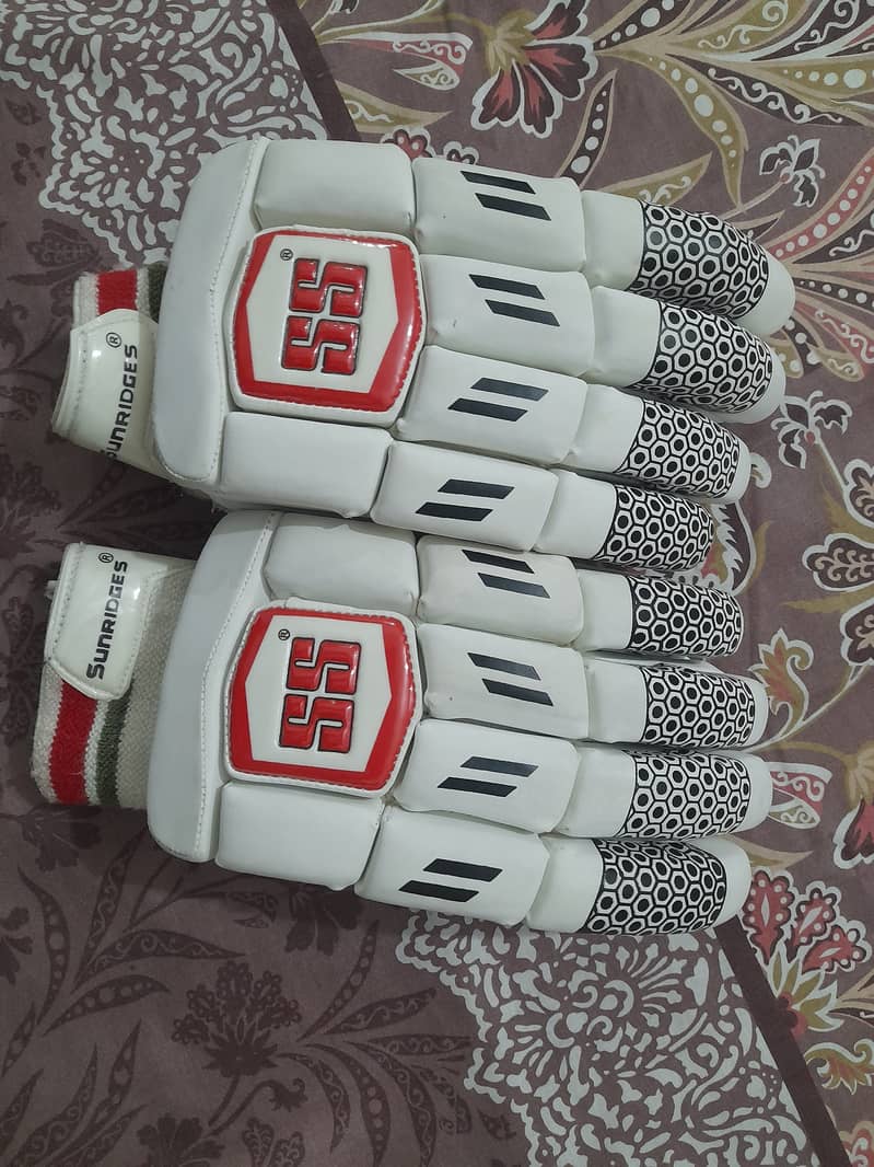 Cricket Batting Kit. Bat , Pad, Gloves, Bag , Halmet, Thai 8