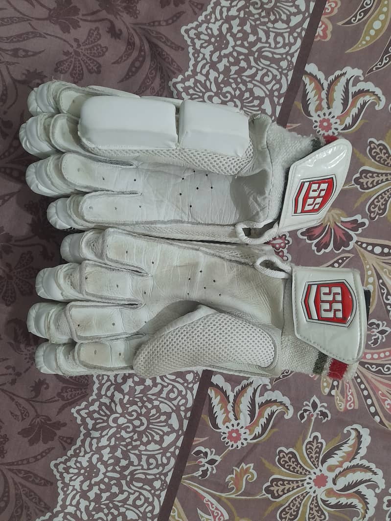 Cricket Batting Kit. Bat , Pad, Gloves, Bag , Halmet, Thai 9