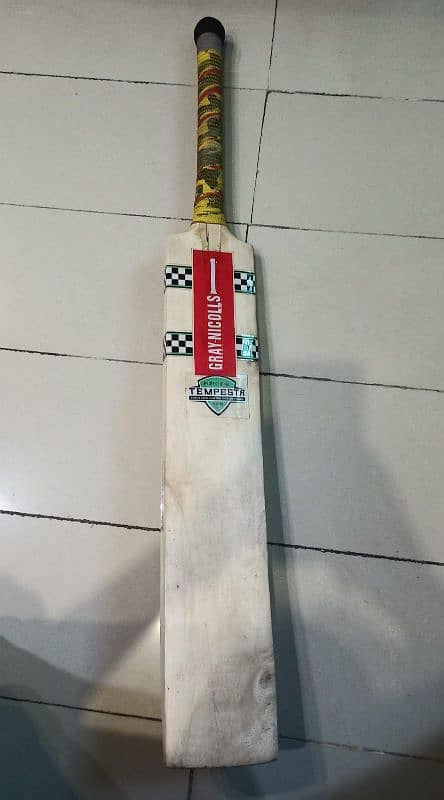 Hard ball cricket bat & gloves 1