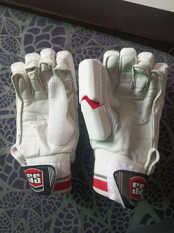 Hard ball cricket bat & gloves 4