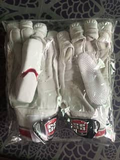 Hard ball cricket bat & gloves