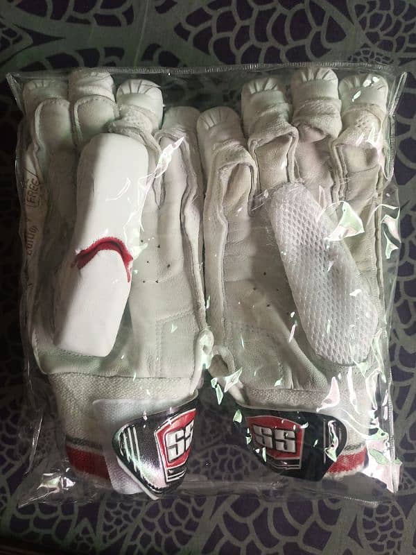 Hard ball cricket bat & gloves 5