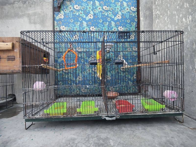 Partition Cage For Sale 2