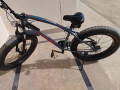 Maigoo Fat tyre Bike Italy imported. 0