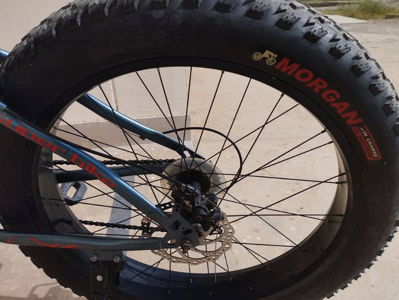 Maigoo Fat tyre Bike Italy imported. 2