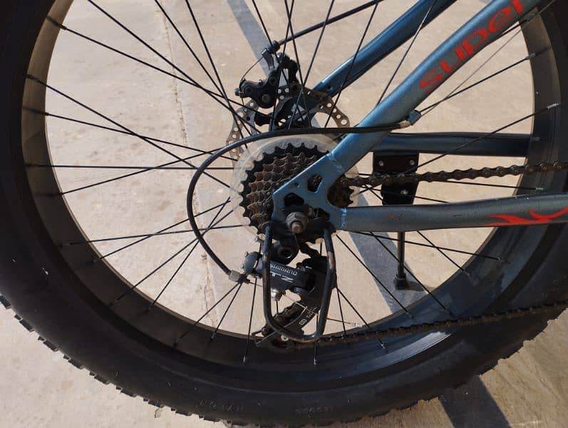 Maigoo Fat tyre Bike Italy imported. 3