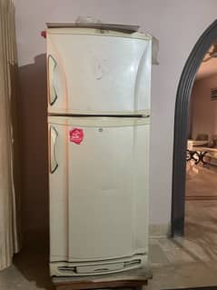 PEL full size refrigerator