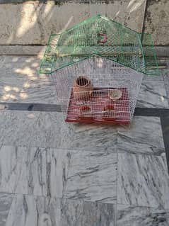 parrot cage for urgent sale