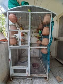 Birds Cage | Size 6ft×3ft×3ft | Parrots  Full Size Colony Steel Cage