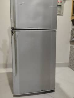 Haier fridge