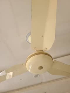 ceiling fan in best condition