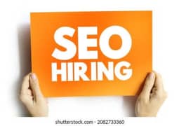 We are Looking for SEO expert