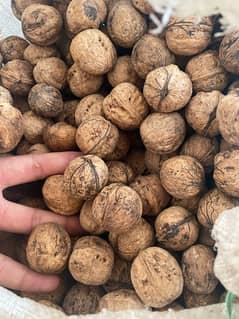 fresh dir kumrat walnuts for sale cheap price RS 700 per kg 0