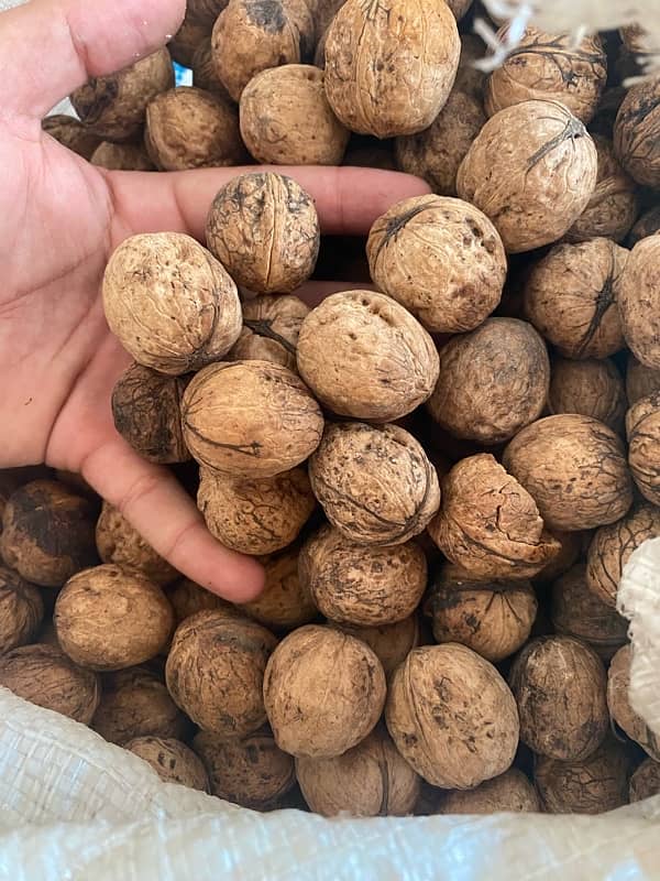 fresh dir kumrat walnuts for sale cheap price RS 700 per kg 1