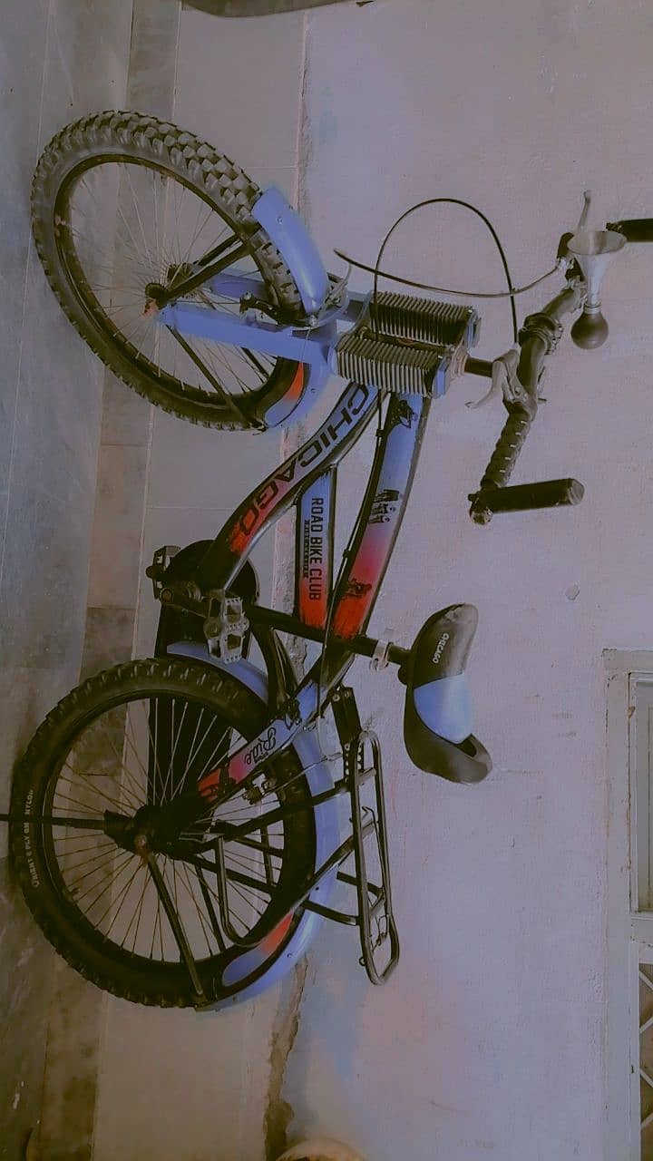 20 inch bicycle 2