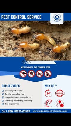 Termite Control - Pest Control- Deemak control services