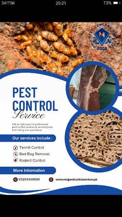 Termite Control - Pest Control- Deemak control services