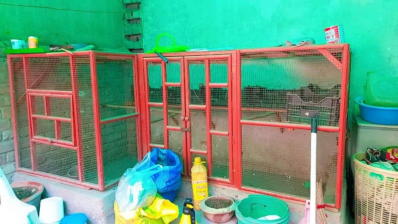 Cage for Sale 0