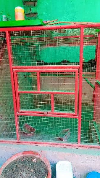 Cage for Sale 6