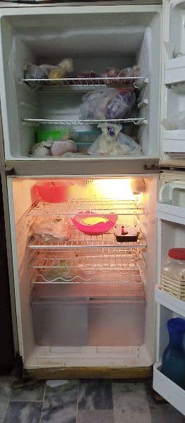 Haier Refrigerator 1