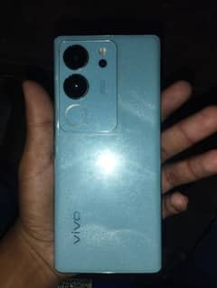 vivo v29