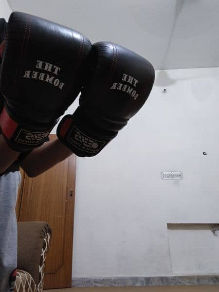 MMA boxing gloves For ( practice ) 8