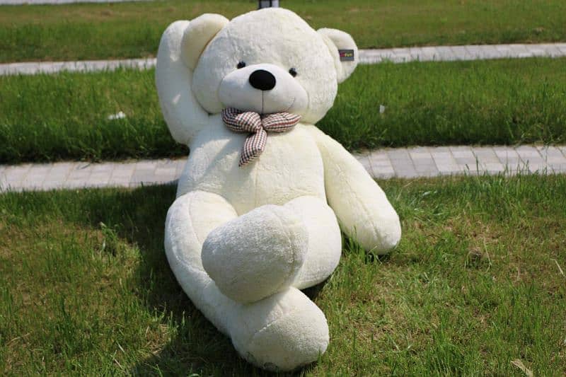 Stuff Toy, Huggable Plush Toy,Teddy bear For Sale 0323-4920435 5