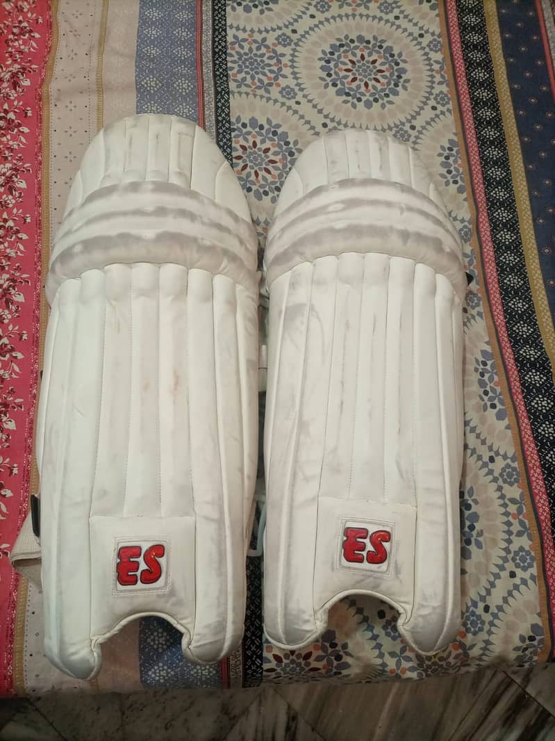 Complete Cricket Kit (With Hardball Bat with 1 Synthetic ball) 12