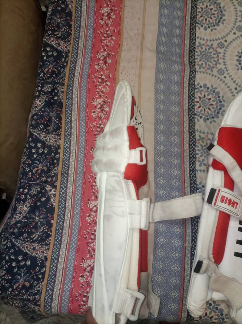 Complete Cricket Kit (With Hardball Bat with 1 Synthetic ball) 14