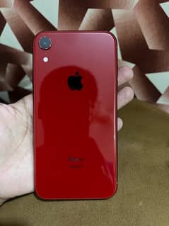 IPhone  XR (PTA Approved ) 0